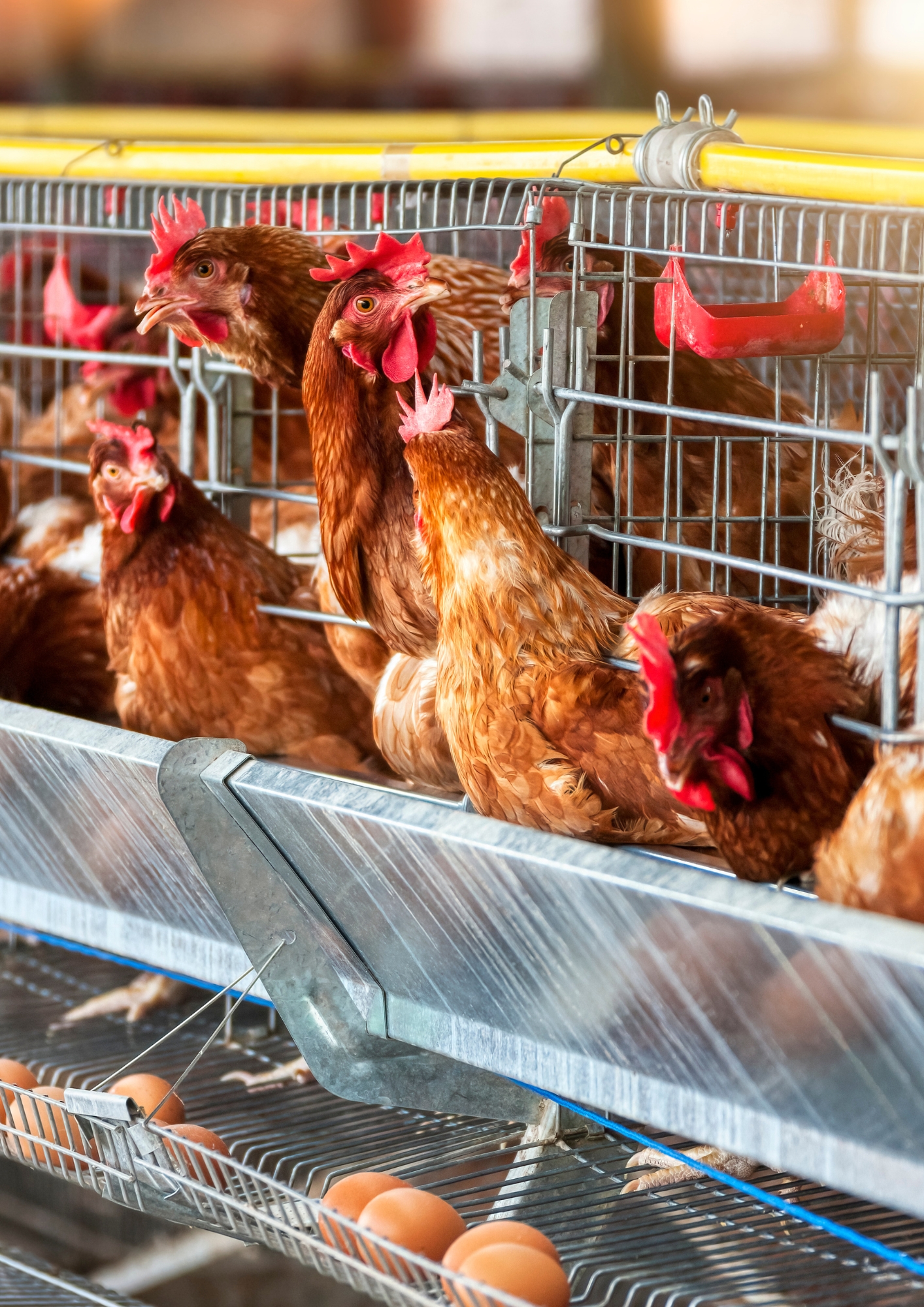 Bioclix Pharma Facility